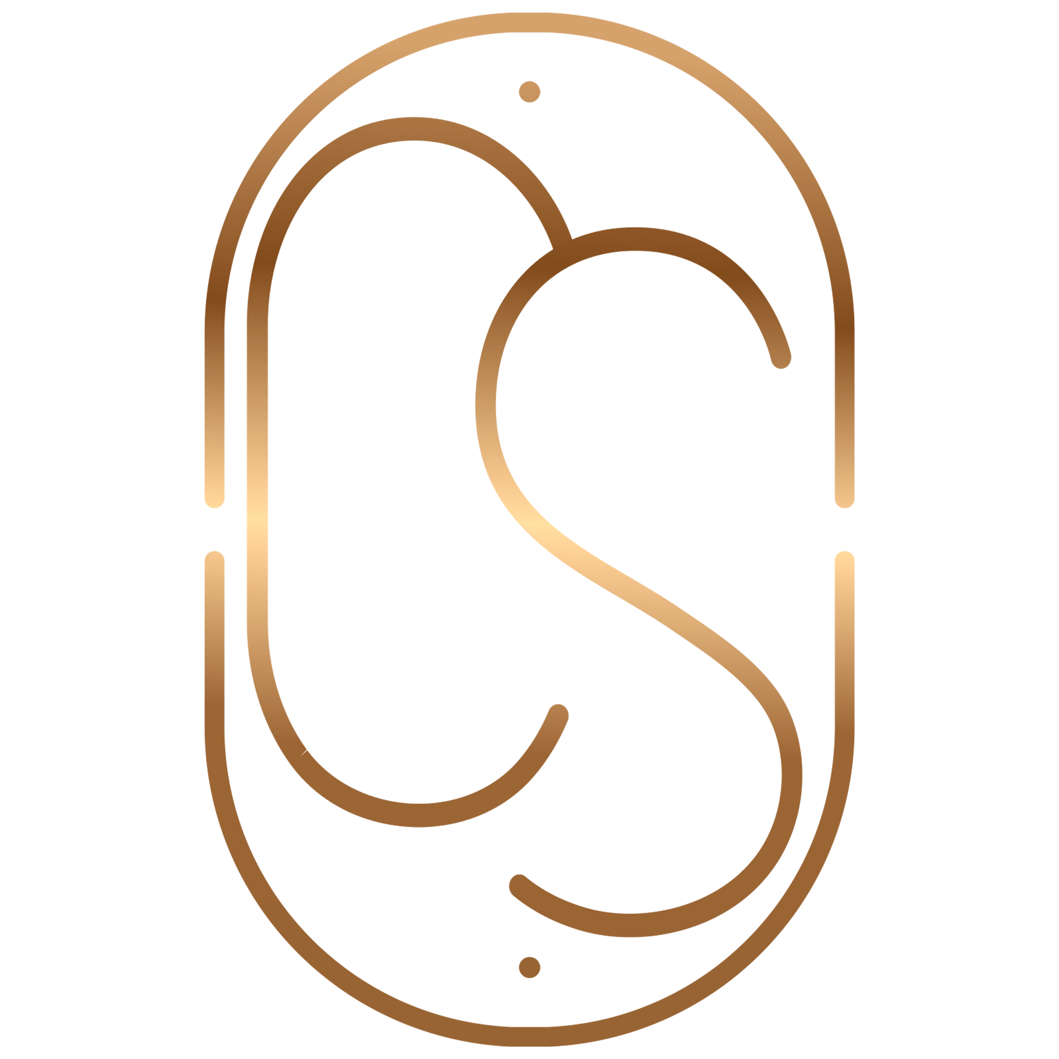 Costa e Silva Negócios